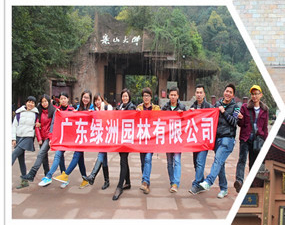 公司组织部分员工赴成都峨眉山乐山等地参观旅游